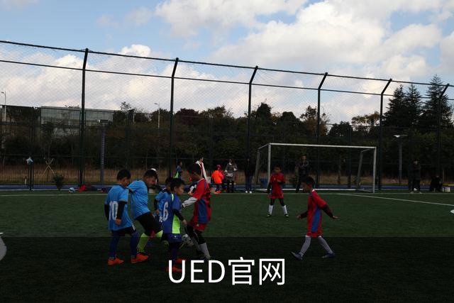 UED官网公司介绍图